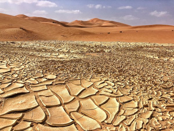 Changements climatiques: les impacts sur la biodiversité